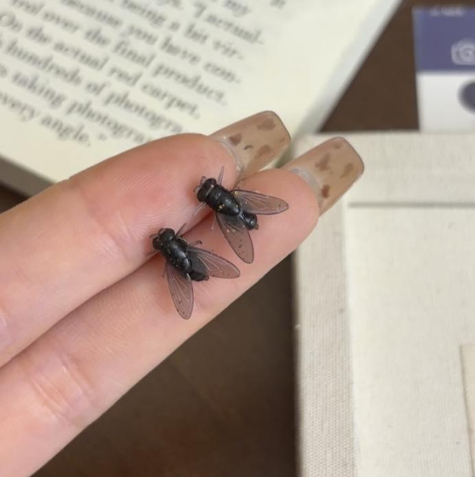 Realistic Fly Earrings