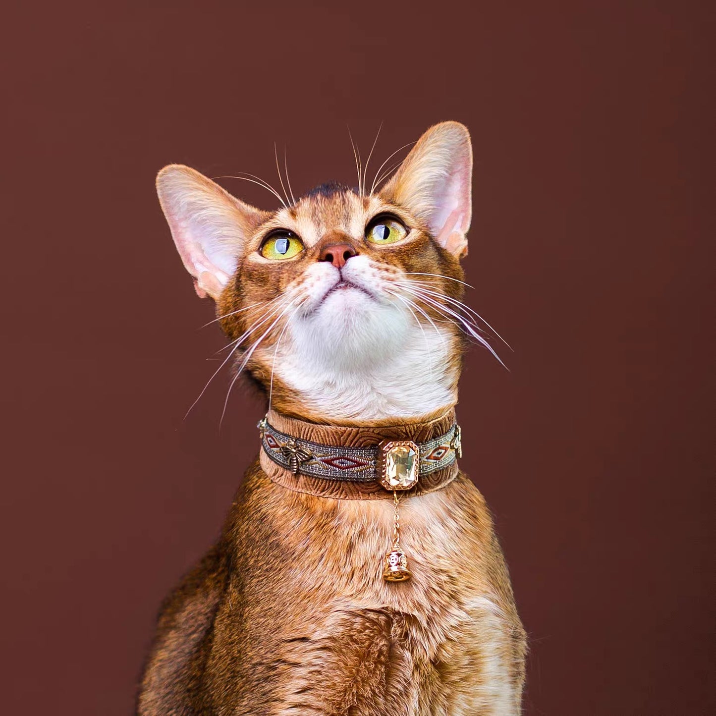 Unique Luxury Cat Collar With Tassel Collar