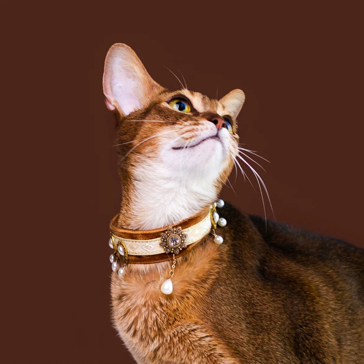 Unique Luxury Cat Collar With Tassel Collar