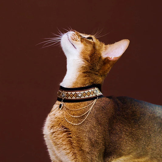 Noble Velvet Cat Collar
