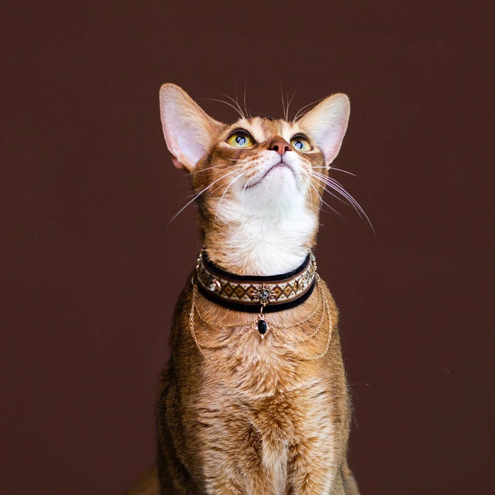 Noble Velvet Cat Collar
