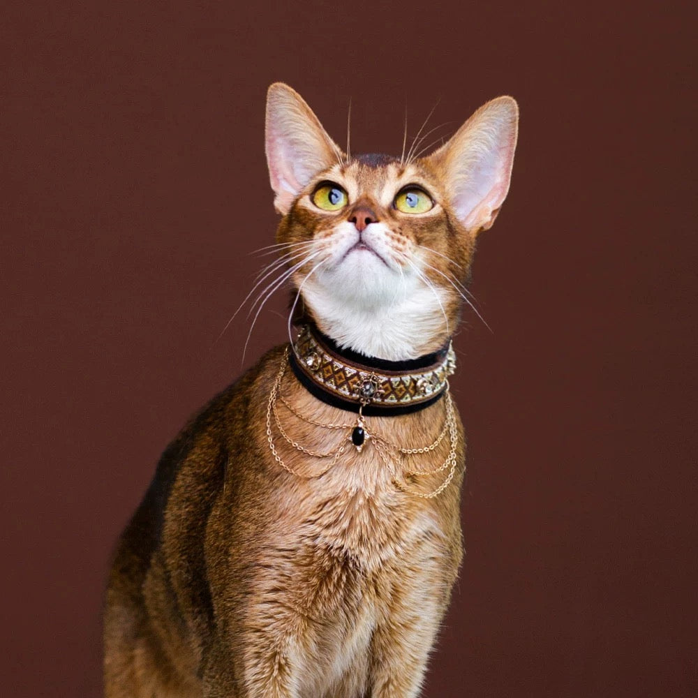 Noble Velvet Cat Collar