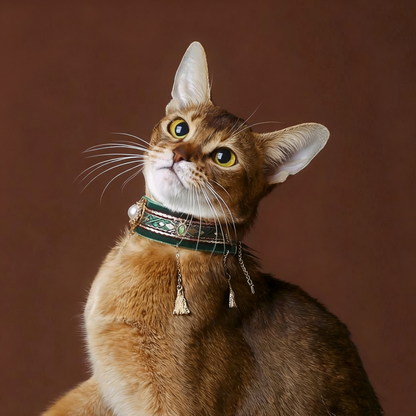 Unique Luxury Cat Collar With Tassel Collar