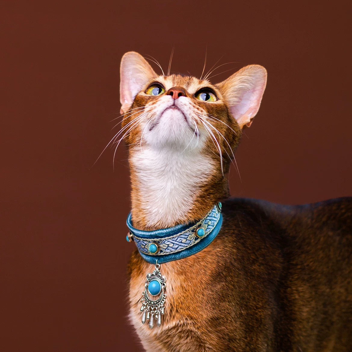 Unique Luxury Cat Collar With Tassel Collar